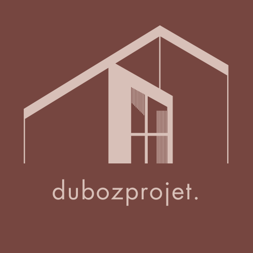 Duboz Projet